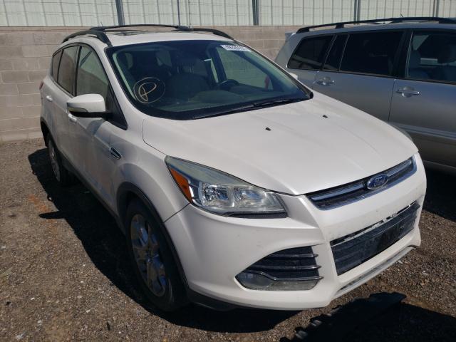 Ford Escape sel (2013)