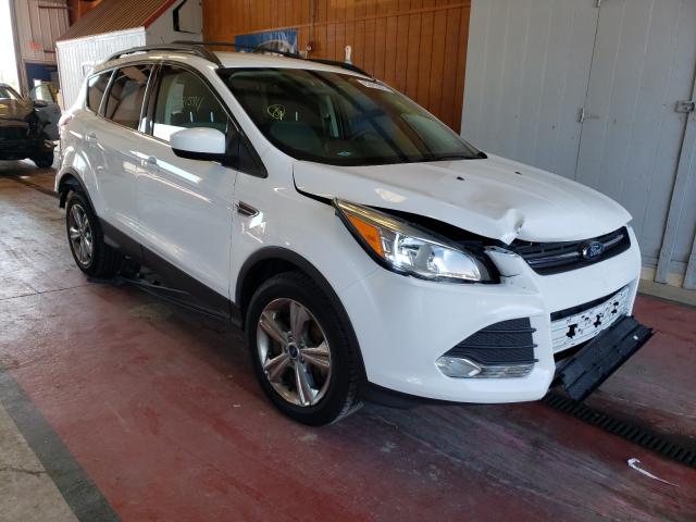 Ford Escape se (2014)