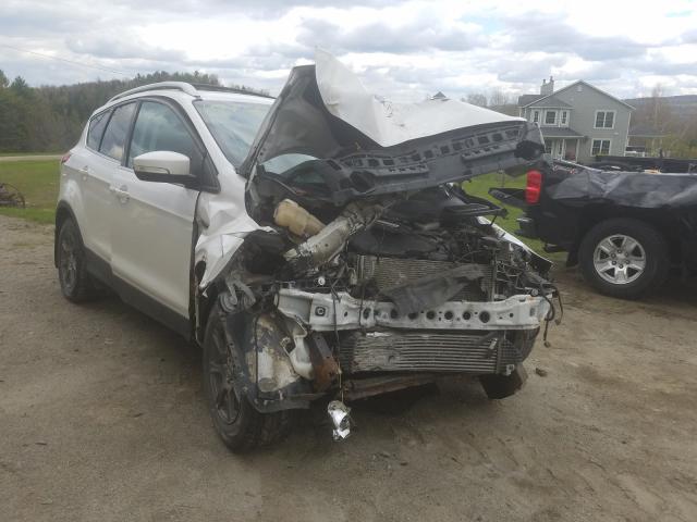 Ford Escape tit (2014)