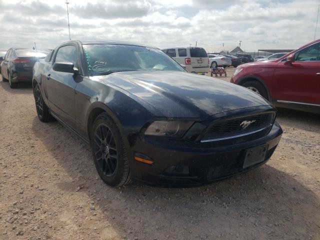 Ford Mustang (2014)