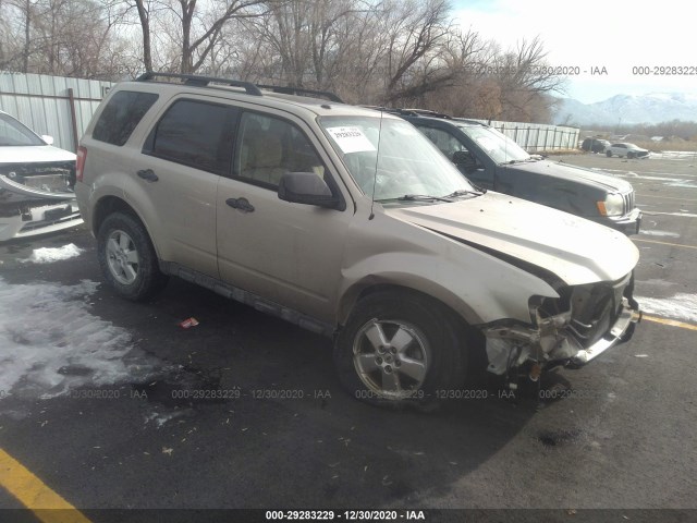 Ford Escape (2010)