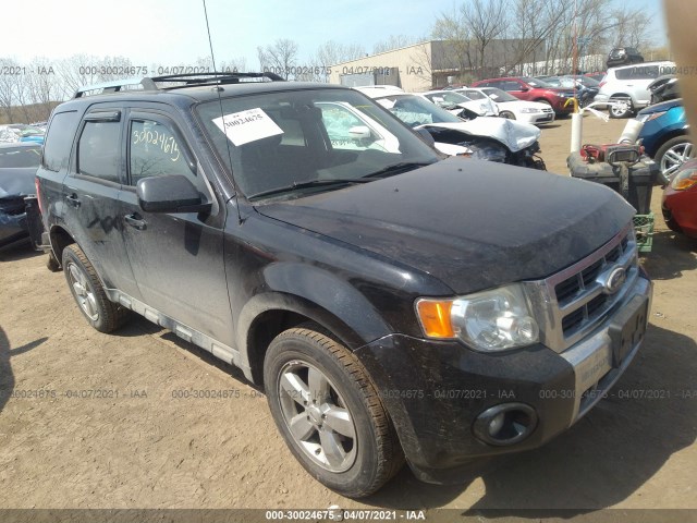 Ford Escape (2010)