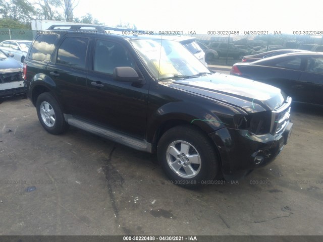 Ford Escape (2010)
