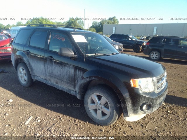 Ford Escape (2012)