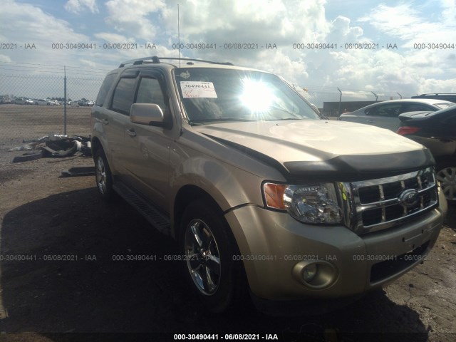 Ford Escape (2012)