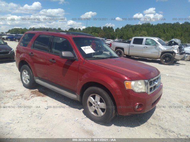 Ford Escape (2010)