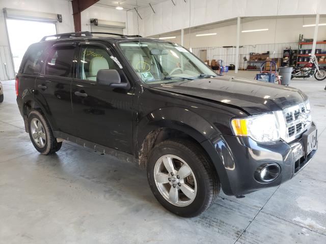 Ford Escape xlt (2011)