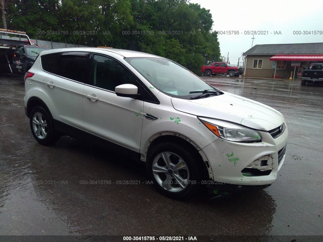Ford Escape (2014)