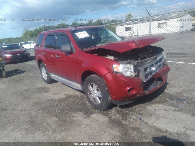 Ford Escape (2010)