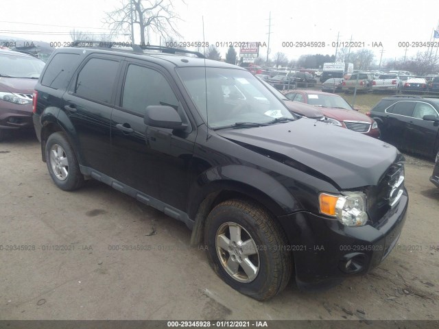Ford Escape (2010)