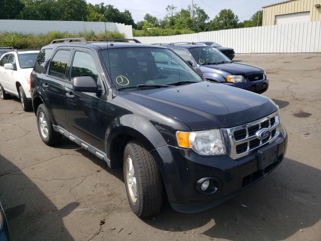 Ford Escape xlt (2011)
