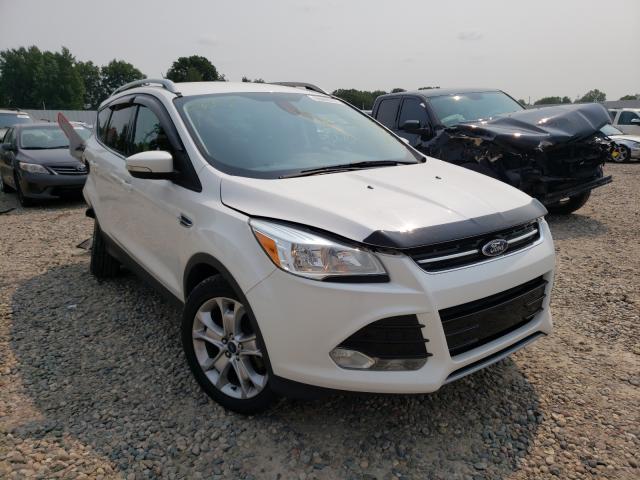 Ford Escape tit (2014)
