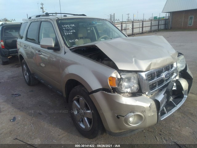 Ford Escape (2010)