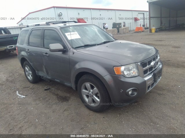 Ford Escape (2010)