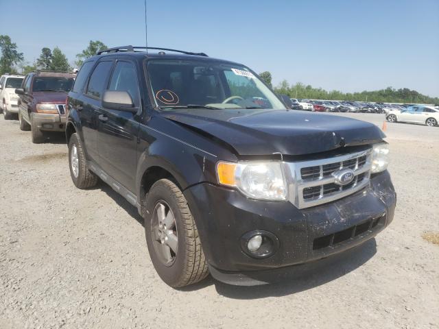 Ford Escape (2010)
