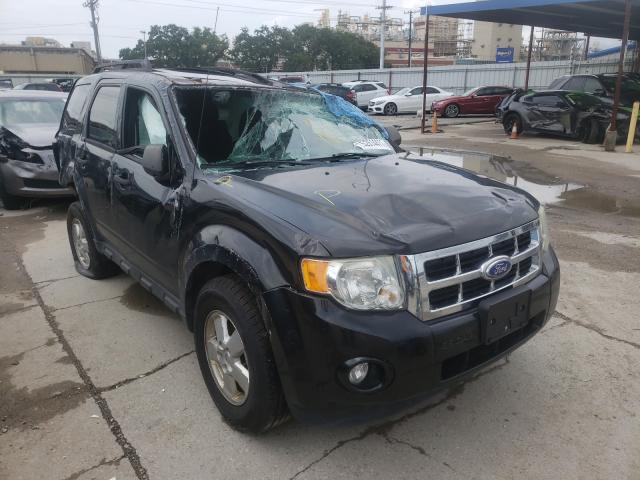 Ford Escape xlt (2020)