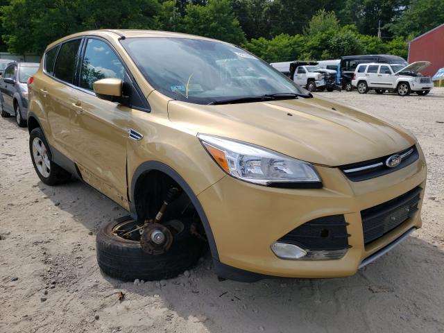 Ford Escape se (2015)