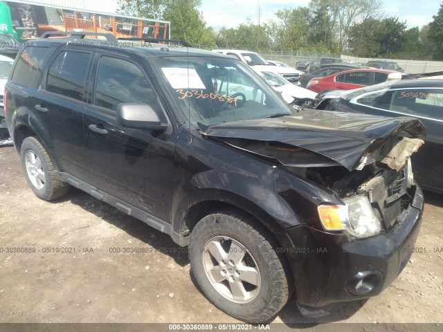 Ford Escape (2012)