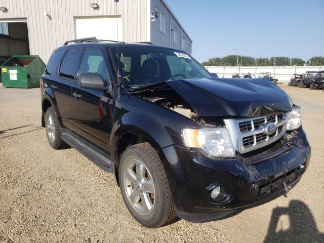 Ford Escape xlt (2010)