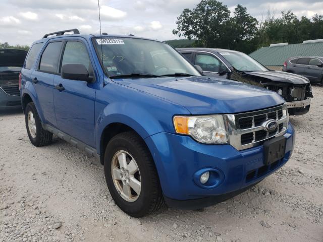 Ford Escape xlt (2011)