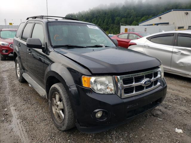 Ford Escape xlt (2011)