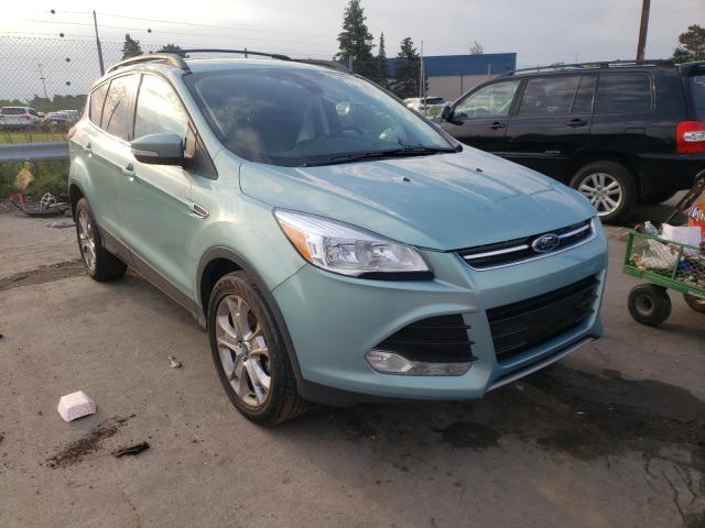 Ford Escape sel (2013)