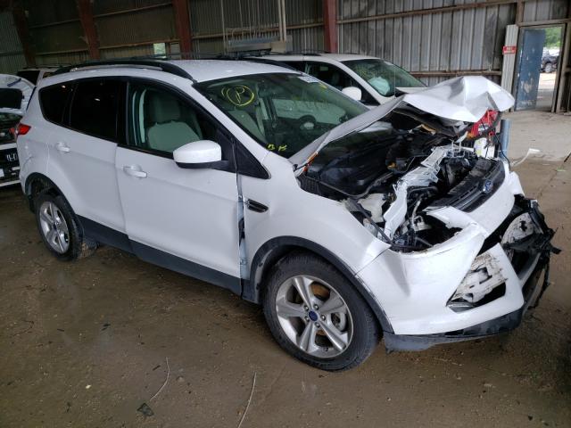 Ford Escape se (2014)