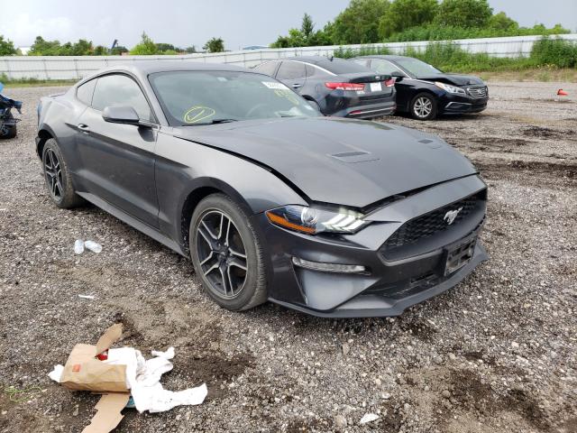 Ford Mustang (2019)
