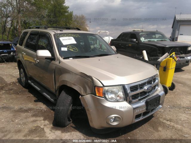 Ford Escape (2011)