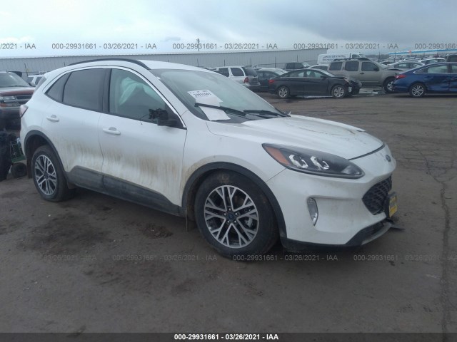 Ford Escape (2020)