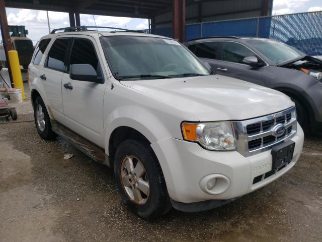 Ford Escape xlt (2010)