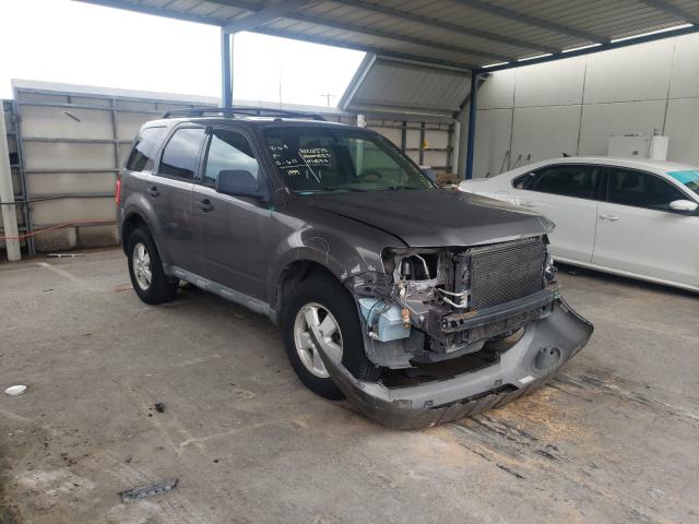 Ford Escape xlt (2010)