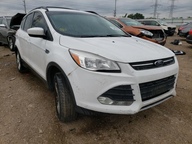 Ford Escape se (2013)
