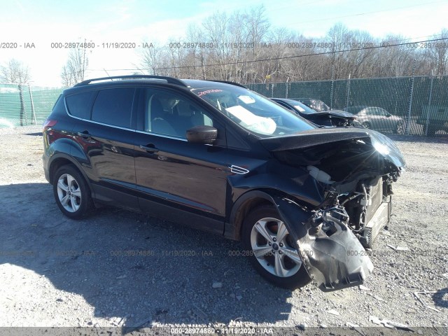 Ford Escape (2014)