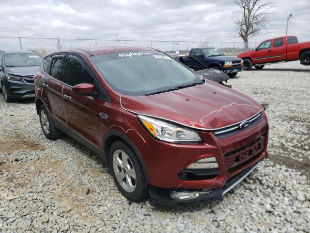 Ford Escape se (2014)