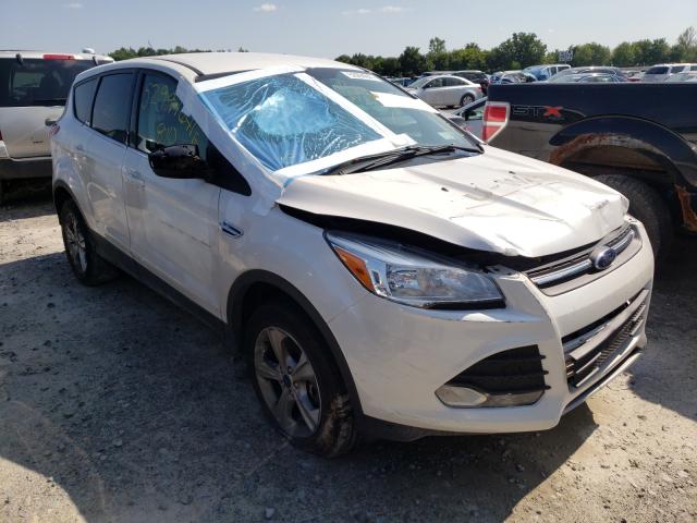 Ford Escape se (2014)