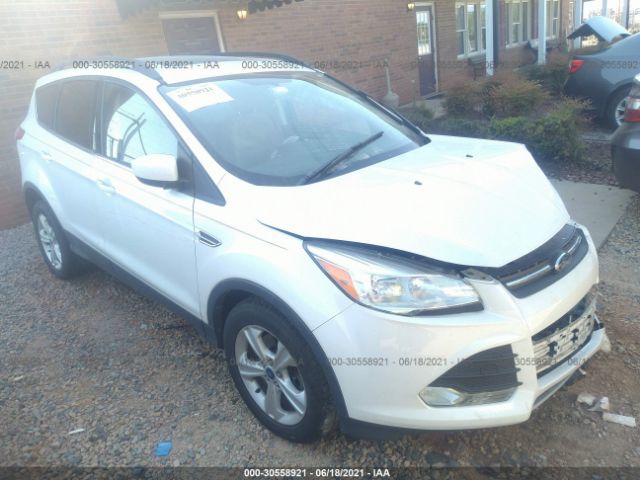 Ford Escape (2014)