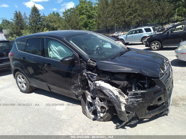 Ford Escape (2014)
