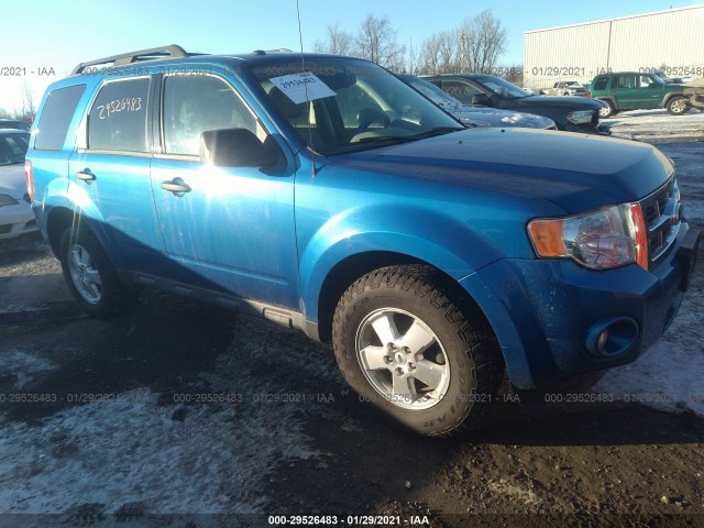 Ford Escape (2011)
