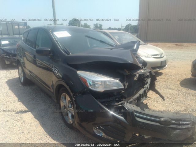 Ford Escape (2015)
