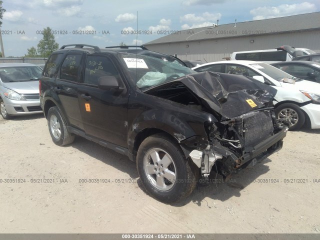 Ford Escape (2010)