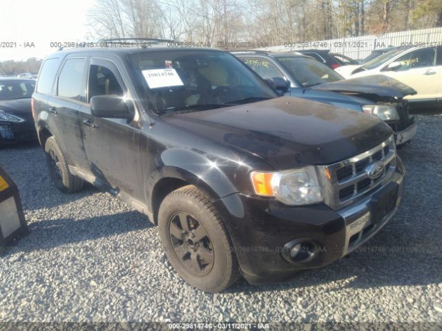 Ford Escape (2010)