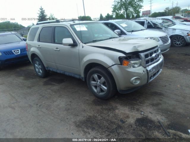 Ford Escape (2010)