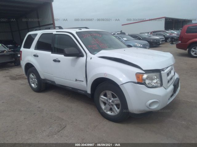 Ford Escape (2011)