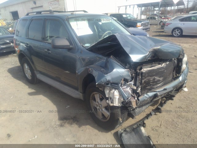 Ford Escape (2010)