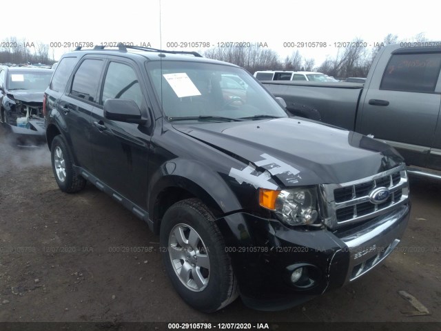 Ford Escape (2011)
