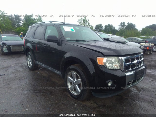 Ford Escape (2012)