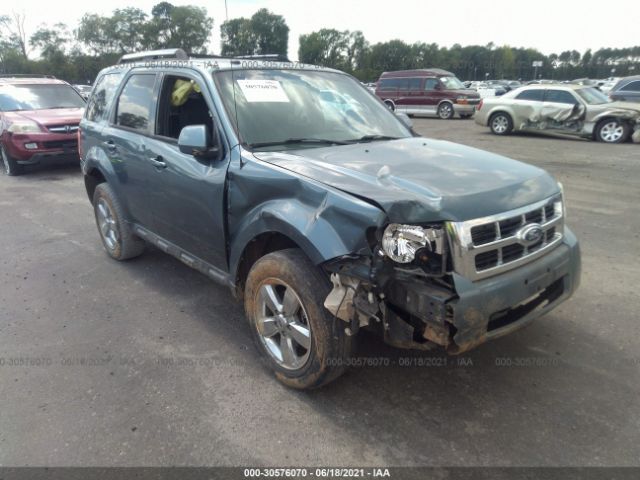 Ford Escape (2010)