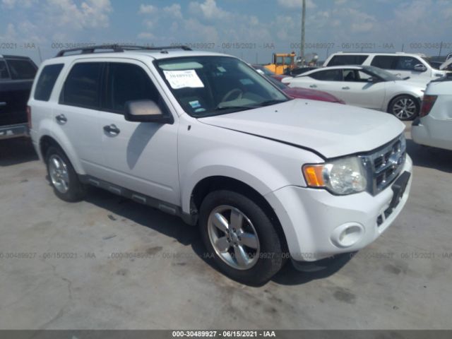 Ford Escape (2011)