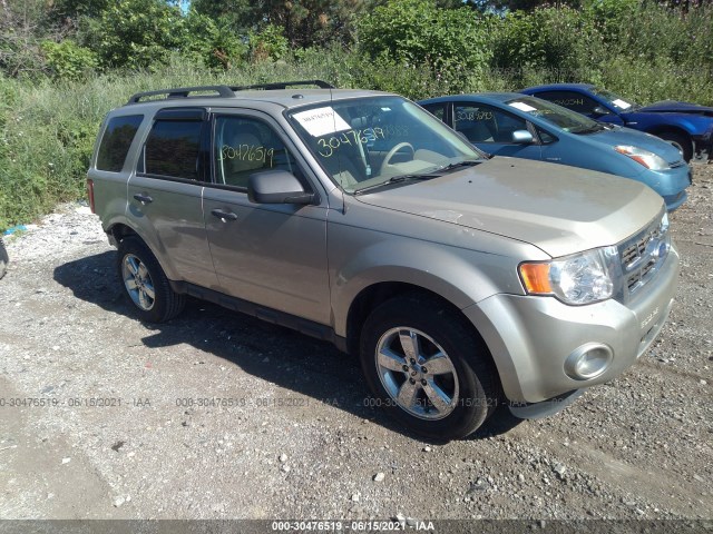 Ford Escape (2012)